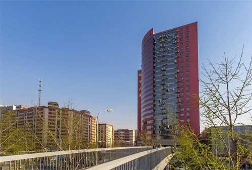 静海县园林绿化施工管理